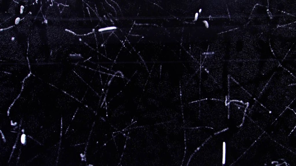 Cloud chambers - Nuledo Cloud chambers - Nuledo