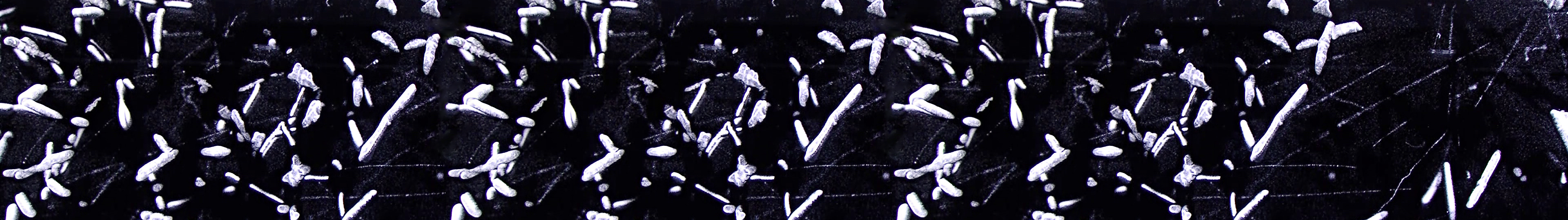 Cloud chambers - Nuledo Cloud chambers - Nuledo